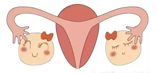 卵巢储备功能检查AMH？