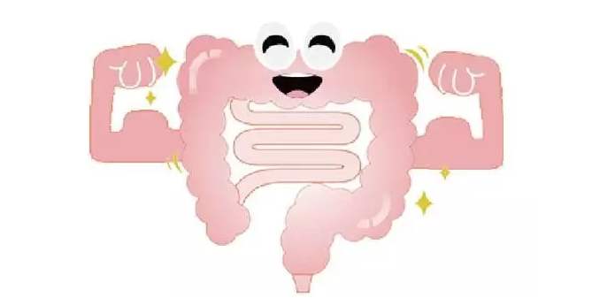 肠道疾病治疗：牛奶中蕴含的大肠杆菌会不会让人体获得肠道疾病？